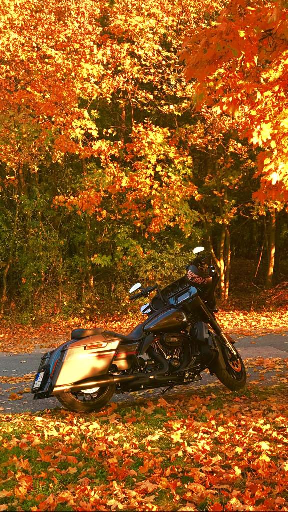 Automne