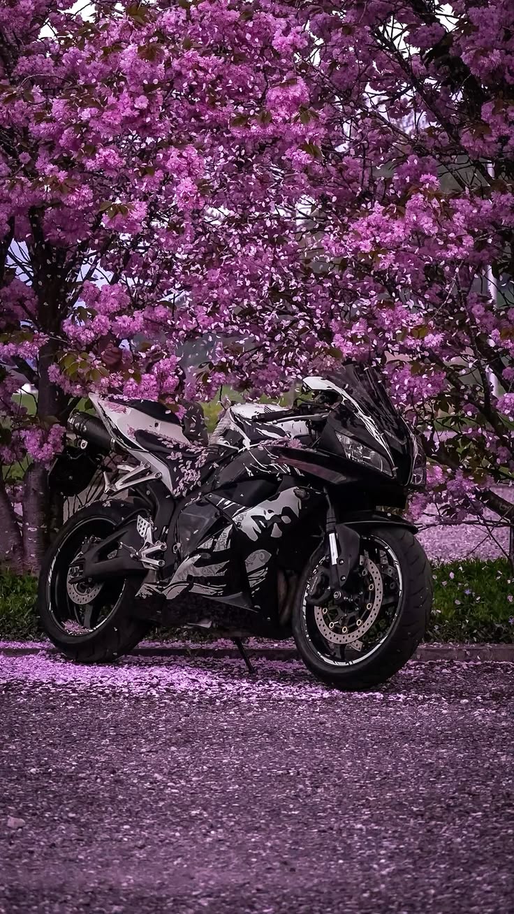 Printemps
