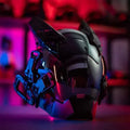 Masque LED Shinobi Samouraï